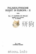 PALAEOLITHISCHE KUNST IN EUROPA-II（ PDF版）