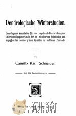 DENDROLOGISCHE WINTERSTUDIEN 1903 PDF电子版封面