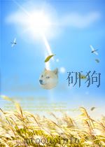 Managing Learning AND Communication Systems AS Business Assets PDF电子版封面 0130462616 Diane M.Gayeski