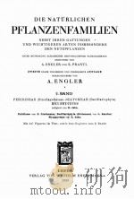 DIE NATURLICHEN PFLANZENFAMILIEN（1928 PDF版）