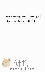 THE ANATOMY AND HISTOLOGY OF CAUDINA ARENATA GOULD PDF电子版封面 J.H. GEROULD
