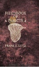FIELD BOOK OF INSECTS PDF电子版封面 FRANK E. LUTZ