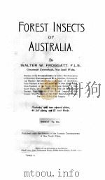 FOREST INSECTS OF AUSTRALIA（ PDF版）