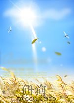 Rival Truths Common Sense and Social Psychological Explanations in Health and Illness PDF电子版封面 041518858X