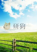 Sports-specific Rehabilitation PDF电子版封面 9780443066429