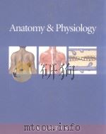 Anatomyh & Physiology PDF电子版封面 080535946X Frederic H.Martini
