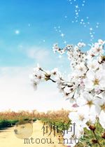 Sport education seasons PDF电子版封面 9780736046398