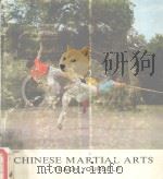 CHINESE MARTIAL ARTS : TEACH YOURESLF PDF电子版封面