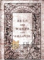 BEES AND WASPS 1913 PDF电子版封面 OSWALD H. LATTER