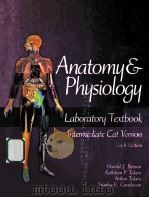 anstomy & physiology  laboratory textbook  sixth edition P545（ PDF版）