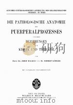 DIE PATHOLOGISCHE ANATOMIE DES PUERPERALPROZESSES UND IHRE BEZIEHUNGEN ZUR KLINIK UND THERAPIE（1919 PDF版）