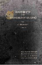 HANDBUCH DER WUNDBEHANDLUNG   1916  PDF电子版封面     