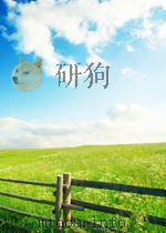 INTERNATIONAL MARKETING：MANAGING WORLDWIDE OPERATIONS IN A CHANGING INTERNATIONAL ENVIRONMENT（ PDF版）