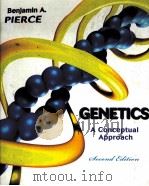 GENETICS A CONCEPTUAL APPROACH SECOND EDITION PDF电子版封面 9780716788812 BENJAMIN A.PIERCE著