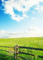 EXPERIMENTING FOR SUSTAINABLE TRANSPORT THE APPROACH OF STRATEGIC NICHE MANAGEMENT（ PDF版）