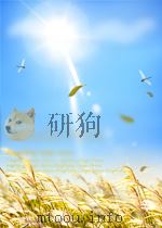 PETHINKING HERITAGE CULTURES AND POLITICA IN EUROPE PDF电子版封面 1860647960