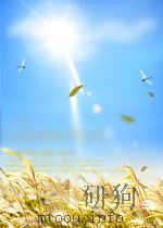 TELEVISON:THE CRITICAL VIEW THIRD EDITION PDF电子版封面 0195030796 HORACE NEWCOMB