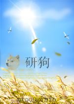 THE FIRST WORLD WAR 1914-18 PDF电子版封面 0333379136 JOHN TERRAINE