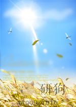 SYNTACTIC THEORY IN THE HIGH MIDDLE AGES:MODISTIC MODELS OF SENTENCE STRUCTURE PDF电子版封面 0521256798 MICHAEL A.COVINGTON