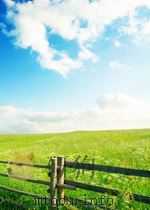 EAST TO BARRYVALE PDF电子版封面 0373019157 YVONNE WHITTAL