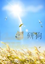 AUTOMATIC ASSEMBLY（ PDF版）