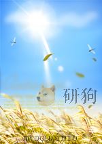 AUTOMATED THEOREM PROVING:THEORY AND PRACTICE（ PDF版）