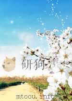 BRIDGE MANAGEMENT（ PDF版）