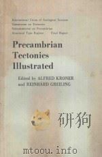 PRECAMBRIAN TECTONICS ILLUSTRATED PDF电子版封面 3510651189