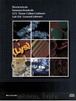 BIOCHEMICALS IMMUNOCHEMICALS LUX TISSUE CULTURE LABWARE LAB-TEK GENERAL LABWARE PDF电子版封面