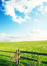 “COMING TO WRITING” AND OTHER ESSAYS（ PDF版）