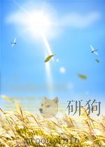 THE PRINCIPLES OF FOREST YIELD STUDY（ PDF版）