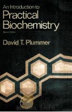 AN INTRODUCTION TO PRACTICAL BIOCHEMISTRY SECOND EDITION PDF电子版封面 0070840741 DAVID T PLUMMER