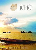 Indonesian Chinese in Crisis 1983 PDF电子版封面 0195825802 CHARLES A.COPPEL