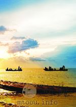 FIRE ACROSS THE SEA:THE VIETNAM WAR AND JAPAN 1965-1975（1987 PDF版）