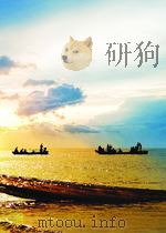TRANSPORT,DEMAND MANAGEMENT AND SOCIAL INCLUSION:THE NEED FOR ETHNIC PERSPETIVES PDF电子版封面 0754640450