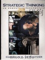 STRATEGIC THINKING AN EXECUTIVE PERSPECTIVE     PDF电子版封面    CORNELIS A.DE KLUYVER 