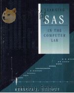 LEARNING SAS IN THE COMPUTER LAB（ PDF版）