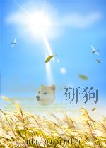JUDICIAL ACTIVISM:BULWARK OF FREEDOM OR PRECARIOUS SECURITY? REVISED EDITION PDF电子版封面 0847685314 CHRISTOPHER WOLFE