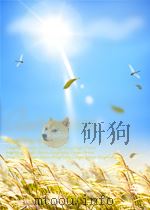 WORKING WITH ANALOGICAL SEMANTICS:DISAMBIGUATION TECHNIQUES IN DLT PDF电子版封面 9067654299 VICTOR SADLER