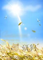 COMPARATIVE ECONOMIC SYSTEMS:MODELS AND CASES SIXTH EDITION PDF电子版封面 0256073120