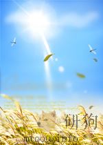 LOVE（ PDF版）