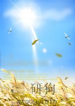 DICTIONARY OF PROBATION AND OFFENDER MANAGEMENT PDF电子版封面 1843922896