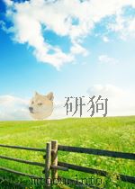 COMPARATIVE CRIMINAL JUSTICE PDF电子版封面 1843920311 FRANCIS PAKES