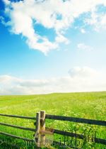 PRISONER RESETTLEMENT POLICY AND PRACTICE（ PDF版）