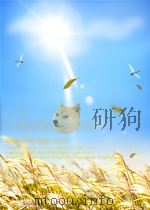 GAP CONDUCTANCE TEST SERIES FUEL CHARACTERIZATION DATA REPORT NUREG/CR-1537 EGG-2046 DISTRIBUTION CA（ PDF版）