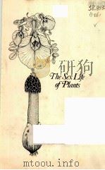 THE SEX LIFE OF PLANTS PDF电子版封面 0030228069 ALEC BRISTOW
