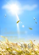 NUCLEAR REGULATORY LEGISLATION NUREG-0980 VOL.1 NO.1（ PDF版）