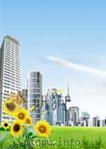 EXPERIENCE IN THE APPLICATION OF EXEMPTION PRINCIPLES IAEA-TECDOC-807 PDF电子版封面