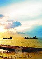 PCI FUEL FAILURE ANALYSIS:A REPORT ON A COOPERATIVE PROGRAM UNDERTAKEN BY PACIFIC NORTHWEST LABORATO PDF电子版封面