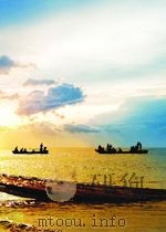 BACKGROUND INFORMATION FOR THE DEVELOPMENT OF A LOW-LEVEL WASTE PERFORMANCE ASSESMENT METHODOLOGY NU（ PDF版）